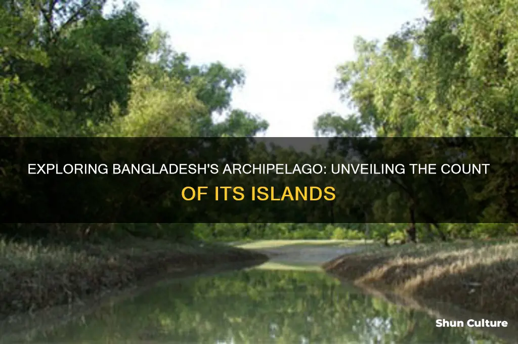 how many island in bangladesh