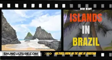 Exploring Brazil's Archipelago: Unveiling the Count of Its Islands