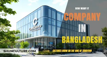 Exploring the Growing IT Industry: How Many Companies Operate in Bangladesh?