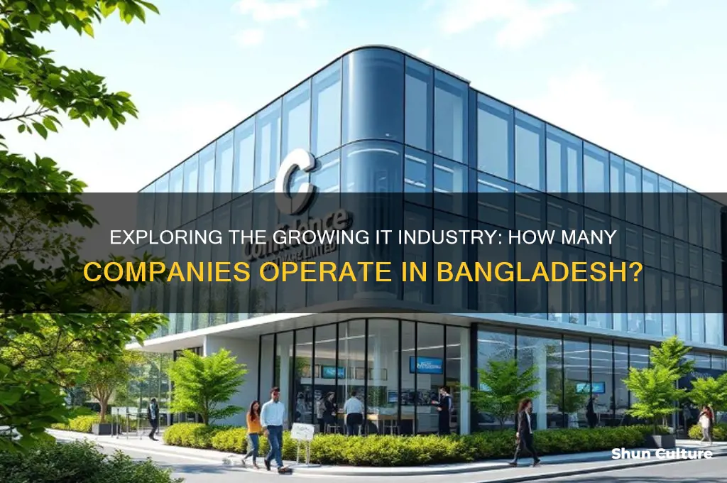 how many it company in bangladesh