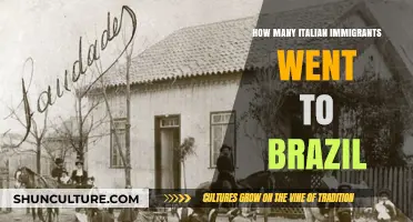 Italian Immigration to Brazil: Uncovering the Numbers and Impact