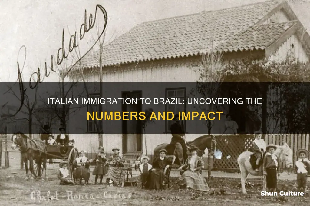 how many italian immigrants went to brazil