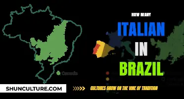 Exploring the Rich Italian Heritage and Population in Brazil