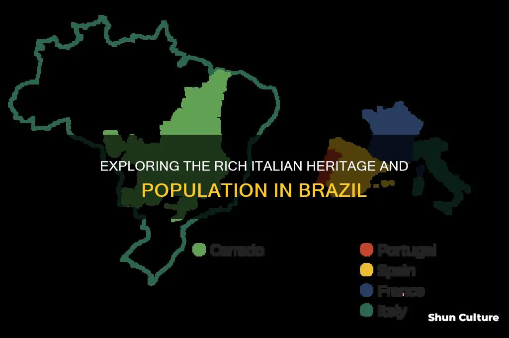 how many italian in brazil