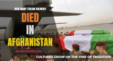 Italian Military's Sacrifice in Afghanistan: Remembering the Fallen