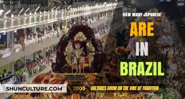 Exploring the Vibrant Japanese-Brazilian Community in Brazil Today