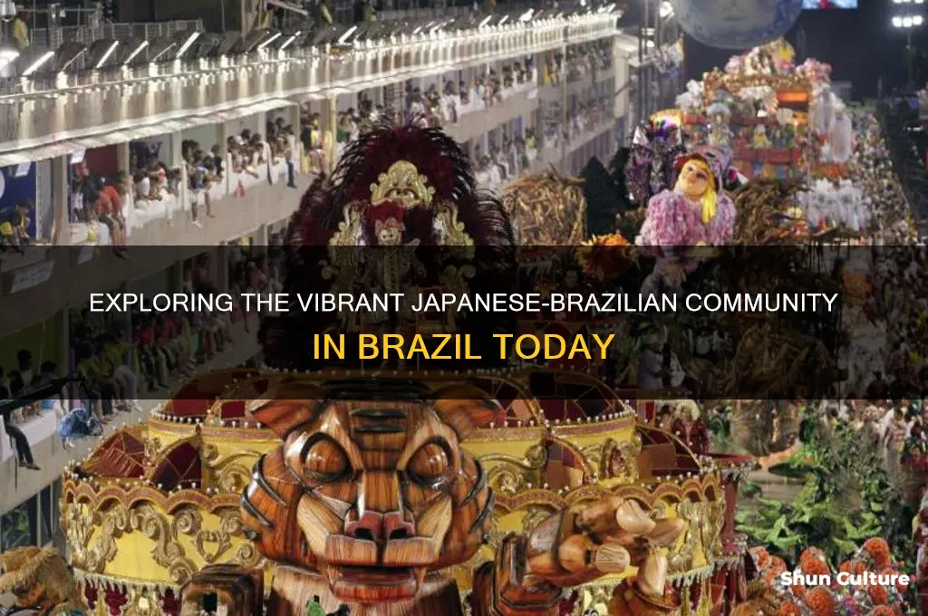 how many japanese are in brazil