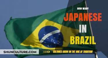 Exploring the Vibrant Japanese-Brazilian Community in Brazil Today