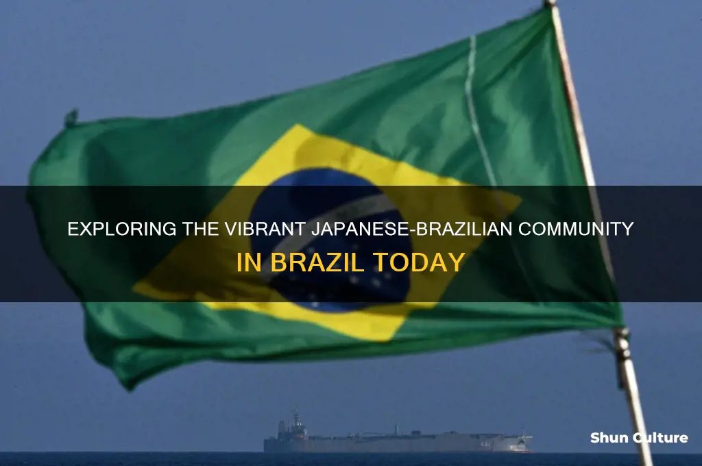 how many japanese in brazil
