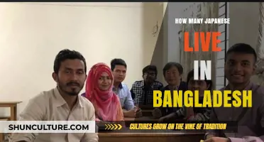 Exploring the Japanese Community in Bangladesh: Population Insights