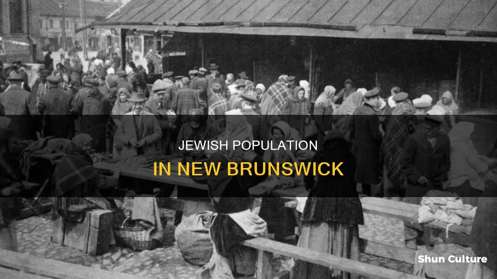 how many jewish people live in new brunswick