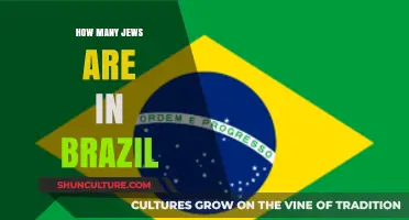 Exploring Brazil’s Jewish Population: Size, History, and Cultural Impact