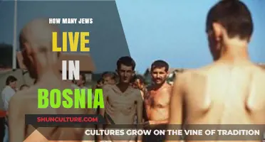 Exploring Bosnia’s Jewish Population: History, Community, and Current Numbers