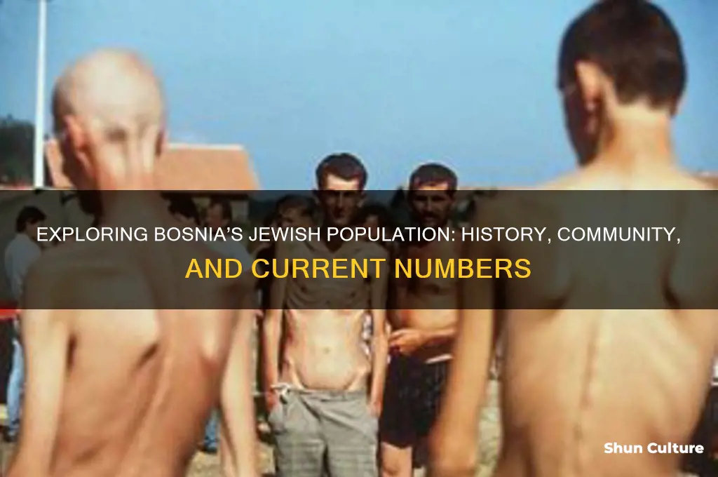 how many jews live in bosnia