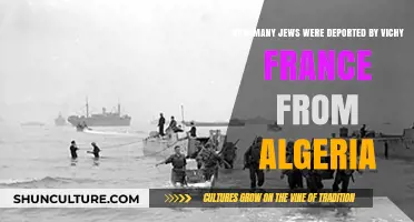 Vichy France's Deportation of Algerian Jews: A Historical Overview