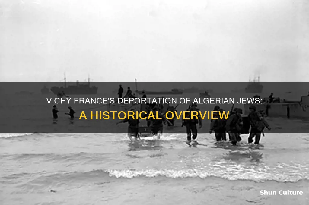 how many jews were deported by vichy france from algeria