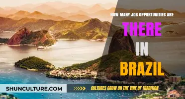 Exploring Brazil's Job Market: Opportunities and Growth Potential