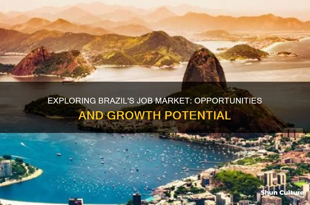 how many job opportunities are there in brazil
