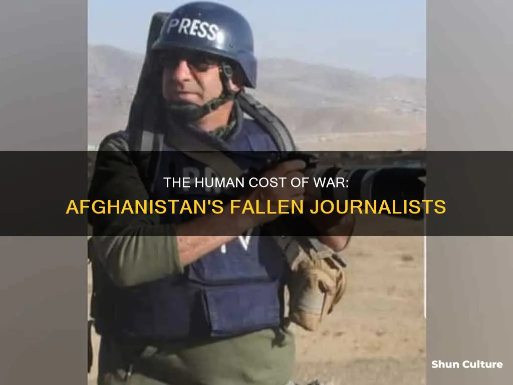 how many journalists died in afghanistan