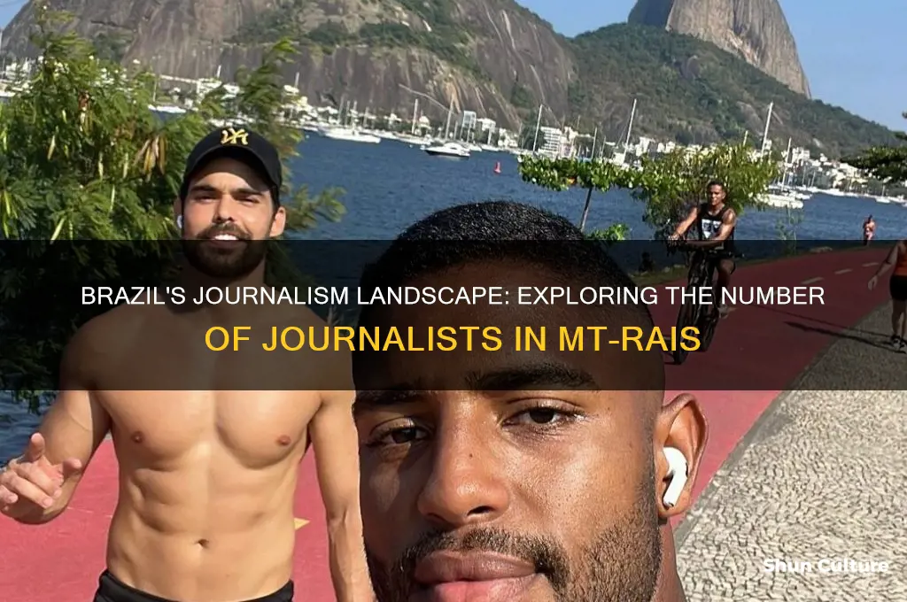 how many journalists in brazil mt-rais