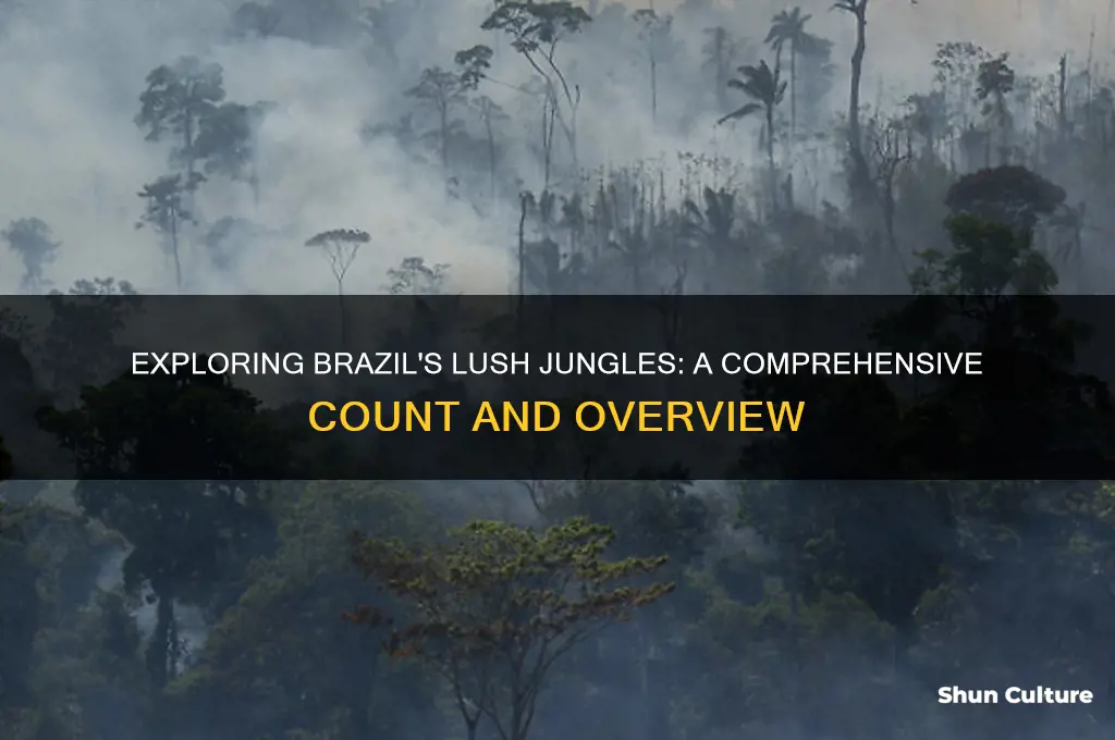 how many jungles are there in brazil