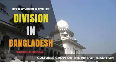 Understanding the Number of Justices in Bangladesh's Appellate Division