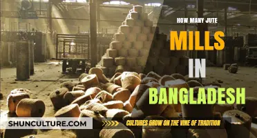 Exploring Bangladesh's Jute Industry: Counting the Mills Nationwide