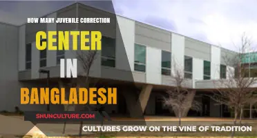 Exploring Bangladesh's Juvenile Correction Centers: Numbers and Locations