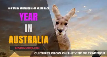 Annual Kangaroo Culling in Australia: Shocking Numbers Revealed