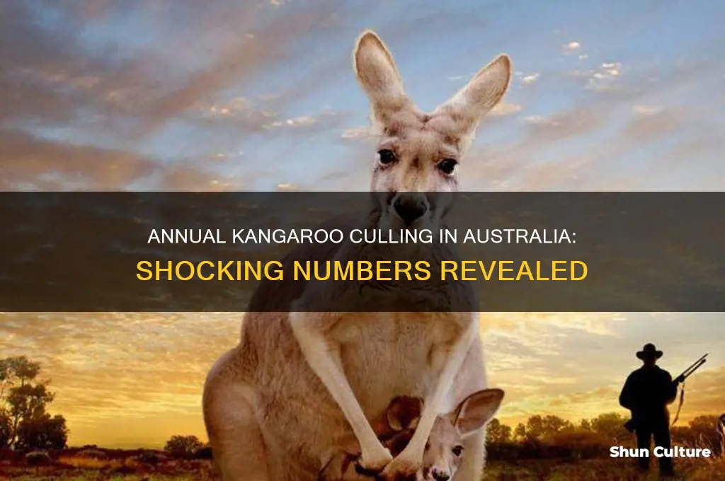 how many kangaroos are killed each year in australia