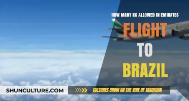 Emirates Flight Baggage Allowance: KG Limits for Brazil Travel