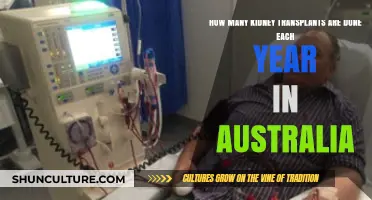 Annual Kidney Transplant Numbers in Australia: A Comprehensive Overview