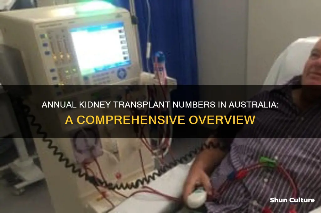 how many kidney transplants are done each year in australia
