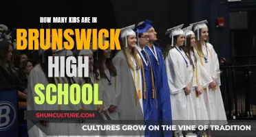 Brunswick High: Student Population