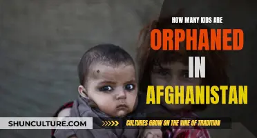 Afghanistan's Lost Generation: The Orphan Crisis