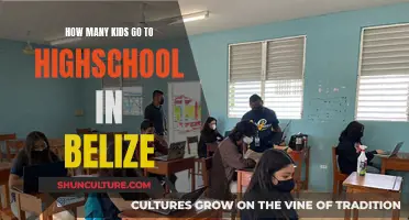 Belize's High School Enrollment Mystery