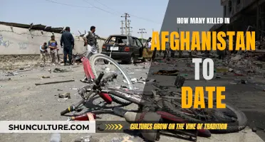 A Grim Toll: Afghanistan's Deadly Legacy