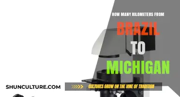 Distance from Brazil to Michigan: A Cross-Continental Journey