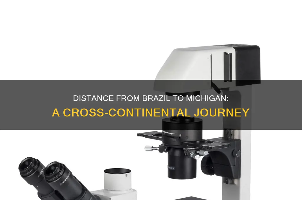 how many kilometers from brazil to michigan