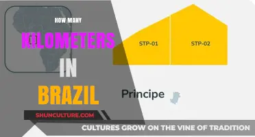 Exploring Brazil's Vastness: Total Kilometers Across the Country