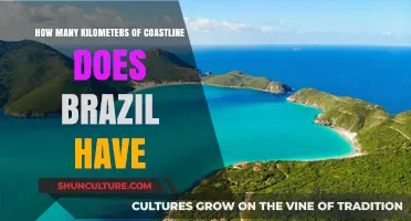 Exploring Brazil's Stunning Coastline: Length, Beauty, and Diversity