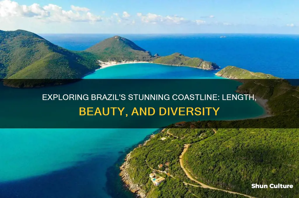 how many kilometers of coastline does brazil have