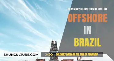 Exploring Brazil's Offshore Pipeline Network: Length and Impact