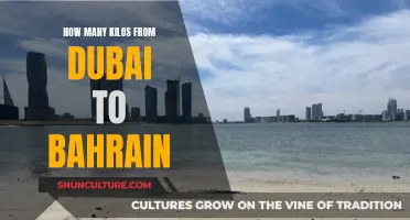 Kilos Across the Gulf: Dubai to Bahrain