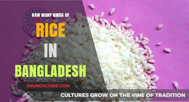 Exploring the Diverse Varieties of Rice Cultivated in Bangladesh