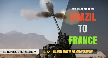 Exploring the Distance: Brazil to France in Kilometers
