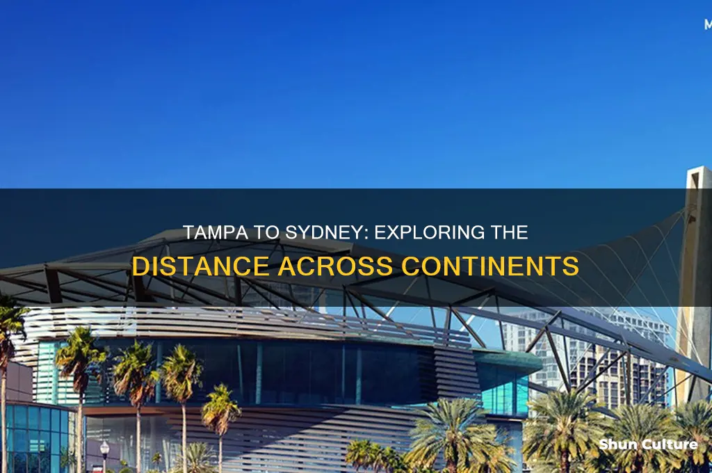 how many km from tampa fl to sydney australia