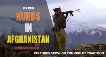 The Unrecognized Kurds of Afghanistan: A Forgotten People