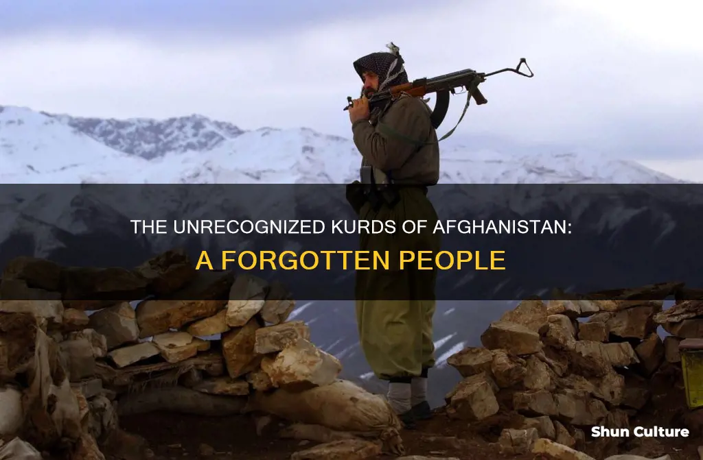 how many kurds in afghanistan