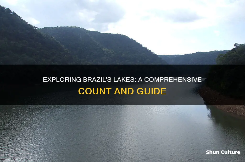 how many lake there are in brazil